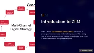 Introduction-to-ZIIM