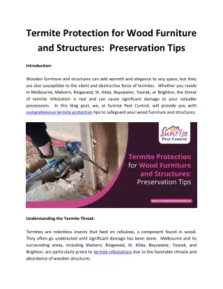 Termite Protection for Wood Furniture and Structures:  Preservation Tips