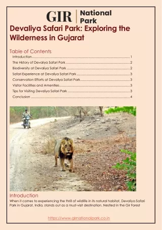 Devaliya Safari Park Exploring the Wilderness in Gujarat