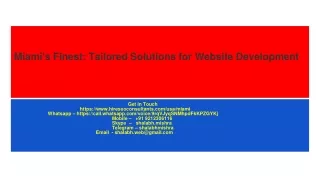 Miami's Finest_ Tailored Solutions for Website Development