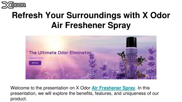 refresh your surroundings with x odor air freshener spray