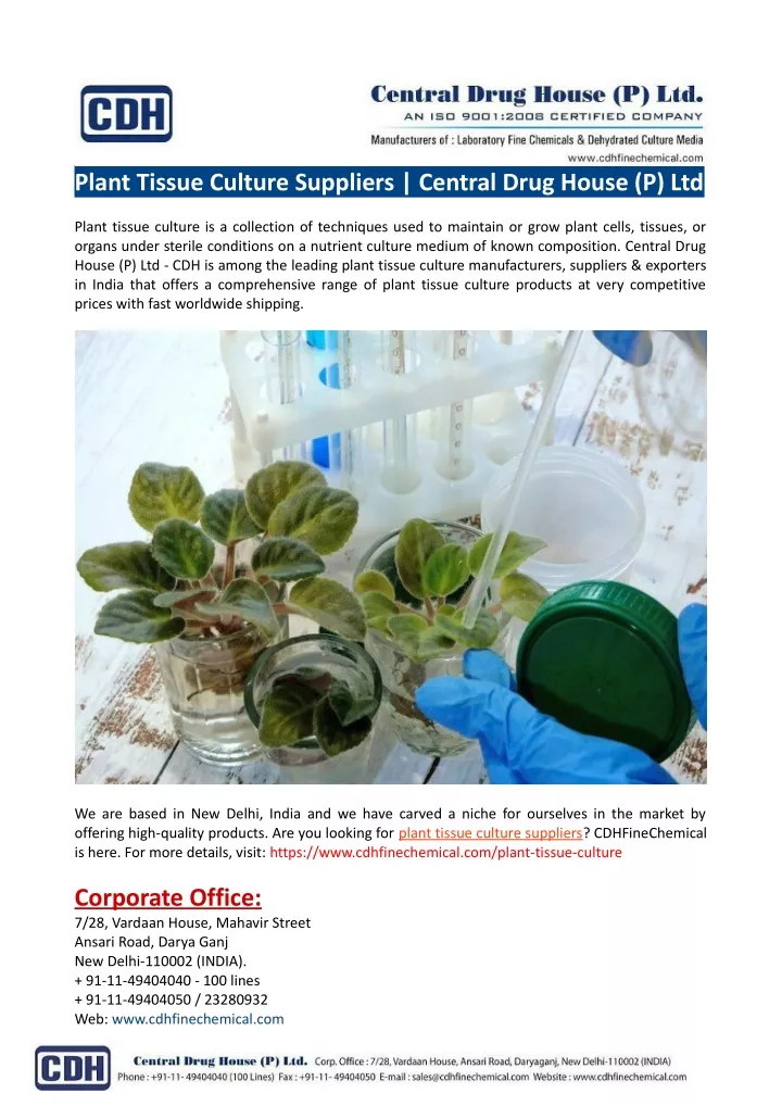 plant tissue culture suppliers central drug house