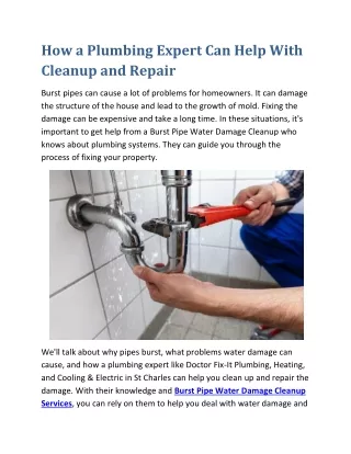 how a plumbing expert can help with cleanup