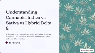 understanding cannabis indica vs sativa vs hybrid