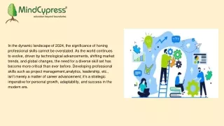 in the dynamic landscape of 2024 the significance