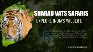 Safari Splendors: Explore India's Wildlife