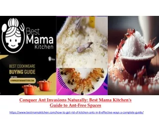 Conquer Ant Invasions Naturally Best Mama Kitchen's Guide to Ant-Free Spaces