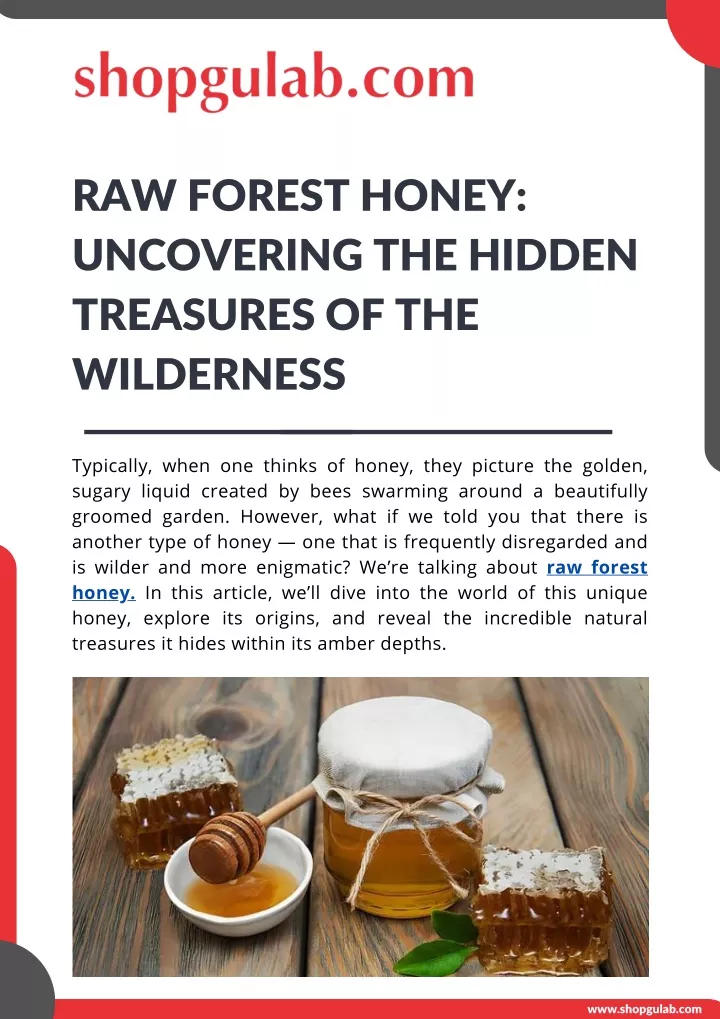 raw forest honey uncovering the hidden treasures