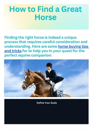 How to Find a Great Horse, Get Horse buying Tips and tricks - Horse Owners Club
