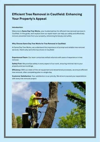 Efficient Tree Removal in Caulfield: Enhancing Your Property's Appeal