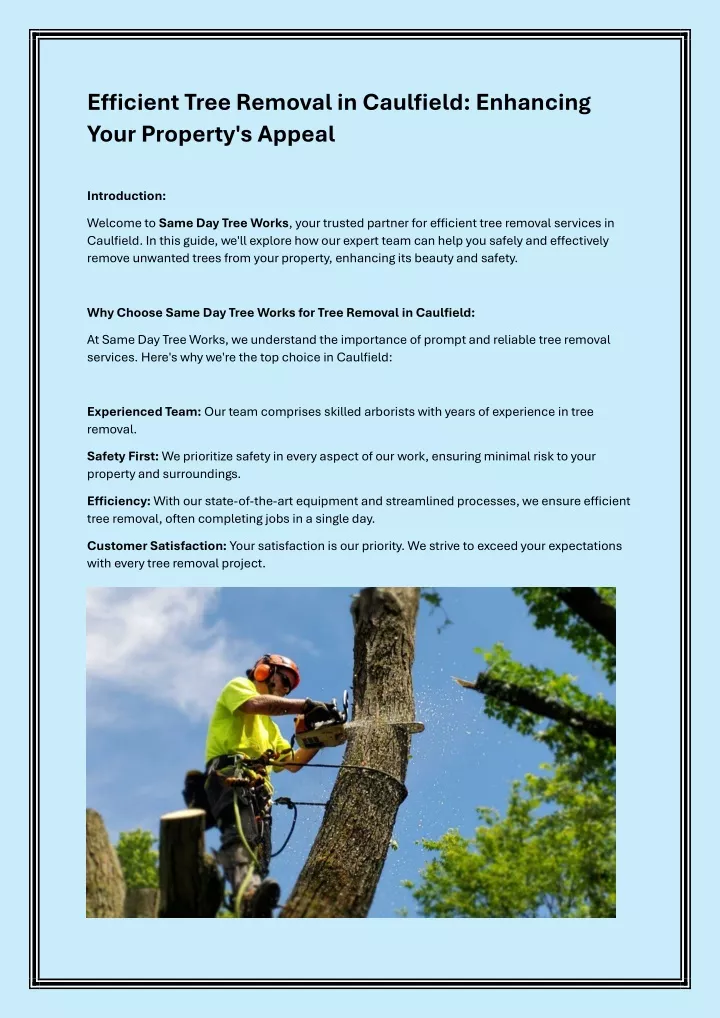 efficient tree removal in caulfield enhancing