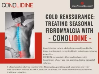 Cold Reassurance: Treating Seasonal Fibromyalgia with Conolidine