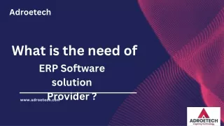 what is the need of ERP Software solution Provider