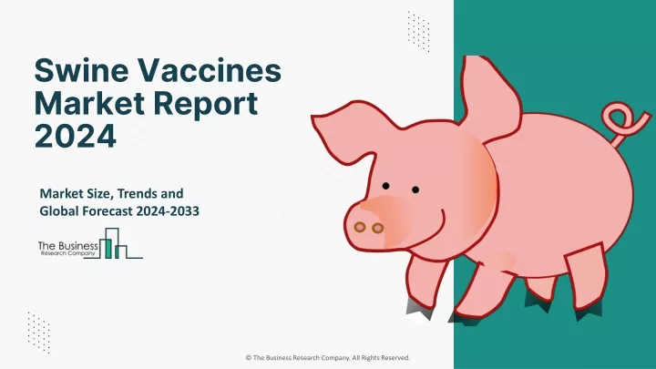 swine vaccines market report 2024