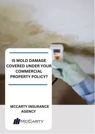 PROPERTY INSURANCE FOR MOLD