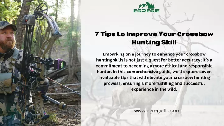 7 tips to improve your crossbow hunting skill