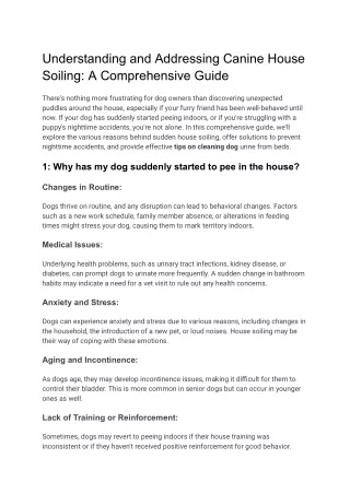 Understanding and Addressing Canine House Soiling_ A Comprehensive Guide