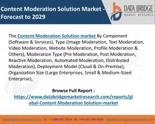 Content Moderation Solution Market
