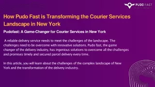 Superfast courier and package delivery service  in Brooklyn, New York | Pudo Fas