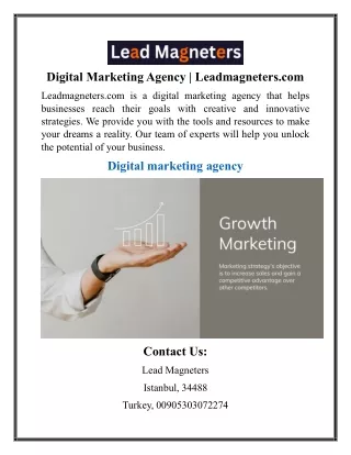 Digital Marketing Agency  Leadmagneters