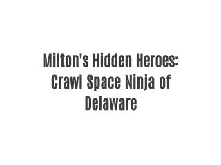 milton s hidden heroes crawl space ninja