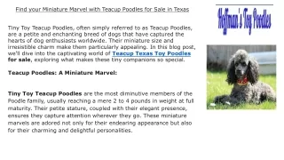 Find your Miniature Marvel with Teacup Poodles for Sale in Texas