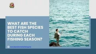 What Are the Best Fish Species to Catch During Each Fishing Season?