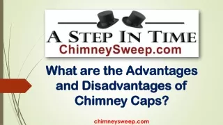 What are the Advantages and Disadvantages of Chimney Caps