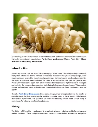 Penis Envy Mushrooms History And Effects