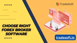 Choose Right Forex Broker Software