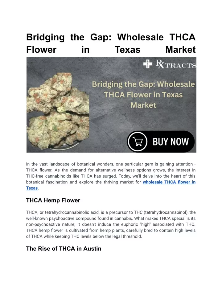 bridging the gap wholesale thca flower in
