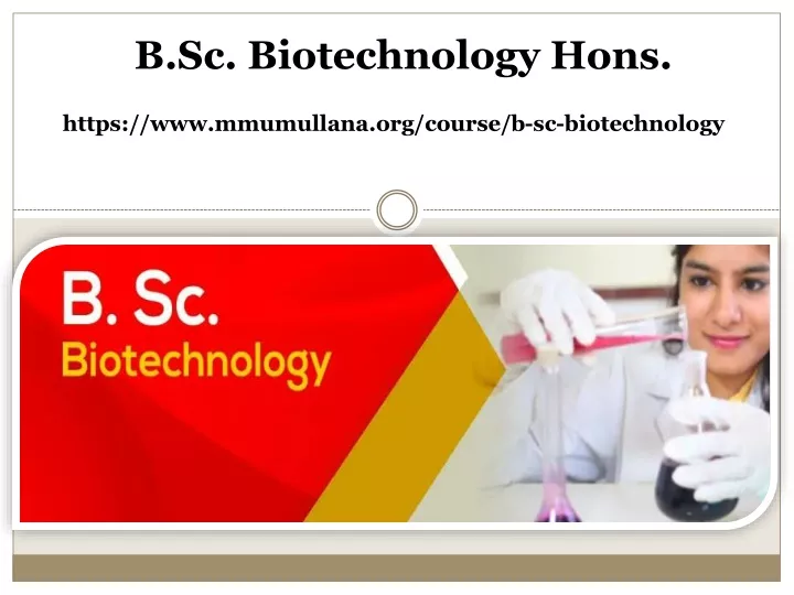 b sc biotechnology hons