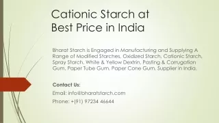 Cationic Starch at Best Price in India