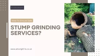 How To Ensure Safe Stump Grinding Services?