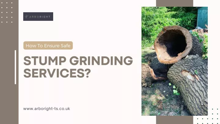 how to ensure safe stump grinding services