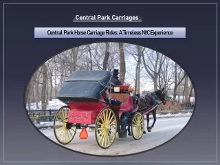 Central Park Horse Carriage Rides A Timeless NYC Experience