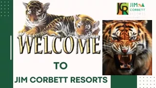 Wilderness Grace - Exploring Jim Corbett Resorts
