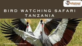 Bird Watching Safari Tanzania