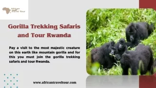Gorilla Trekking Safaris and Tour Rwanda
