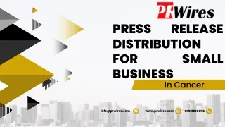 press release distribution for small business