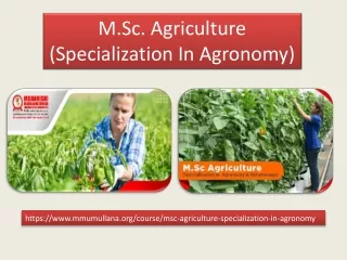 M.Sc. Agriculture (Specialization In Agronomy)