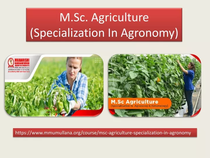 m sc agriculture specialization in agronomy