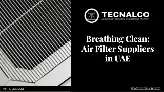 Air Filter Suppliers in UAE (1)
