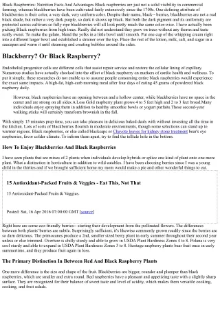 Black Raspberry Vs Blackberry Exactly How They Contrast