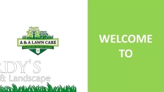 Best Lawn Care And Pest Control In New Braunfels TX