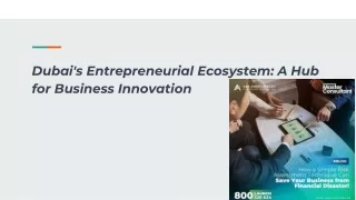 Dubai's Entrepreneurial Ecosystem_ A Hub for Business Innovation