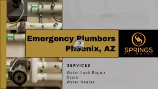 emergency plumbers
