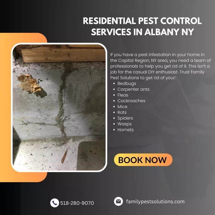 residential pest control services in albany ny