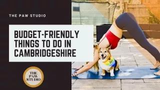 Budget-Friendly Things to Do in Cambridgeshire