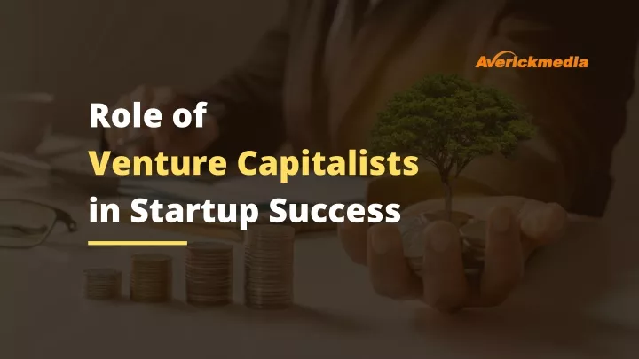 role of venture capitalists in startup success